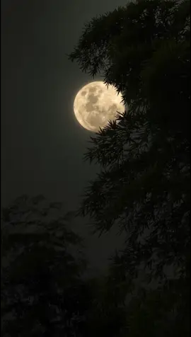 #sonbahar #dolunay #gece #sessizlik #huzur 🥰#keşfet