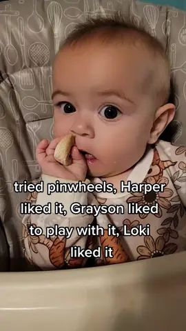 Loki has food on his head from trying to catch what they dropped for dinner.  What a goof 🤪 🤣  #twinsoftiktok #boygirltwins #eating #husky #opentocollabs 