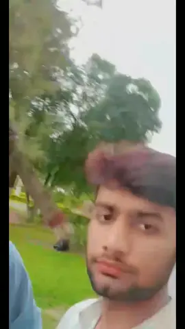 Sultan Ali