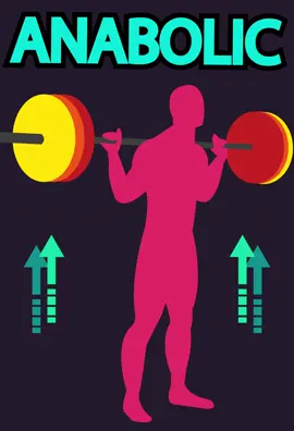 High Frequency Training = More MPS? #Fitness #workout #bodybuilding #musclebuilding