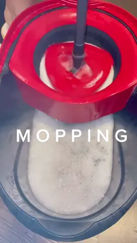 these two made my place smell so good for hours & cleaned so well! #moptok #moppingtiktok #moppingasmr #murphysoilsoap #lestoil 