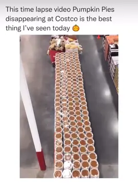Costco Timelapse of pumpkin pies!! #costco #pumpkinseason #satisfying #viral #fypシ #timelapse 