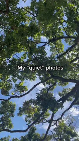 My quiet photos #nature #myquietphotos #sunset 