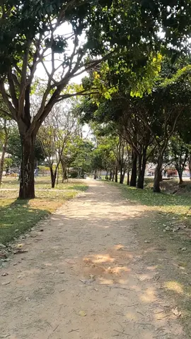 Caminhando pelo parque.  #passeio #paisagem #parque #caminhada #caminhadasaudavel #natureza #Hiking #landscape #nature #arfresco 