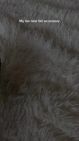 My new obsession with green is out of control. #blackgirlluxurylifestyle #blackgirlluxury #ysl #saintlaurent #designer #designerfinds #fallaccessories #fallaesthetic #designerfinds #shopping 