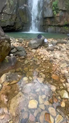 #🍃 