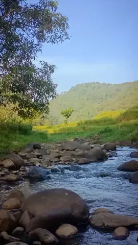 gemericik menenangkan hati #pemandanganalam #pemandanganindah #sungai #inimahsumedang #sumedangjawabarat #beautifulnature #beautifulvillage #alamsunda #healing #foryoupage #fyp #fypシ 
