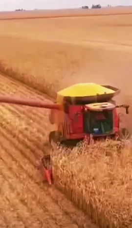 Not my video but where is the grain cart lol #fyp #farmtok #fail @tractorking99 @25.9550 @25.770 