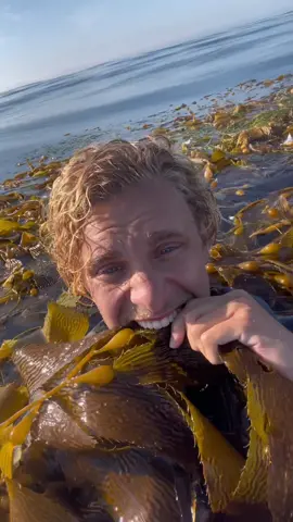 Replying to @eren_kocagoz this is so cool! #foryou 