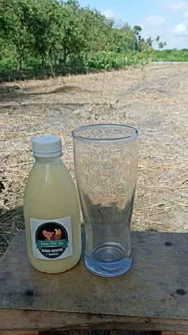 1 botol = 1 gelas besar mantap gaes😍