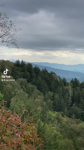 #byyourgrace #codyjohnson #blessed #foryoupage #fyp