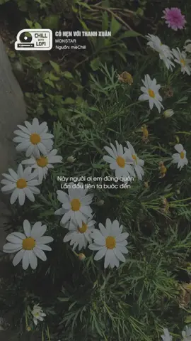 Nếu lỡ mai vô tình thấy được nhau #cohenvoithanhxuan #monstar #greyd #chillwithlofi #namviet #xh #xuhuong #fyp #fypシ #navitalent #naviteam