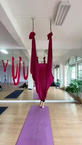 Butterfly Spinning 🧚🏻‍♀️💕                     #lt2yoga #aerialyoga #aerialhammock #flyingyoga #aeriallife #aerialmom #yogawith_shinta #yogawith_sari #studioyogabanjarsariivcilandakbarat #aerialyogastudiobanjarsariivcilandakbarat #aerialyogastudiojakarta #aerialindonesia
