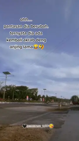 #ceritakita anjing laut seee😂😂😂