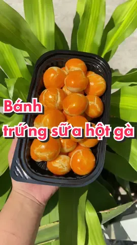 Bánh trứng sữa hột gà đảm bảo sẽ làm hài lòng mọi người 