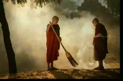 ၈ အရှင်သာရိပုတ္တရာပြောတဲ့စကား #foryou #foryourpage 