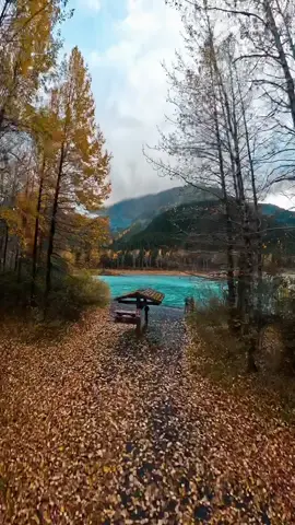 How Autumn Feels in Alaska 🍁😍🏔 #autumn #alaska 