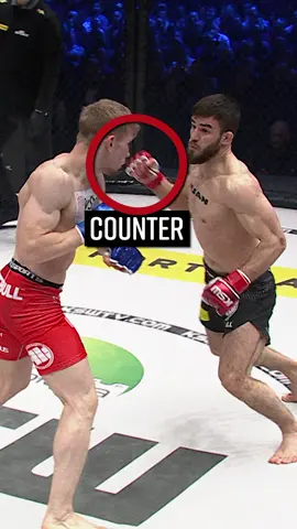 Jak podobała Wam się ta akcja kończąca Adama Soldaeva? #ksw #mma #ko 