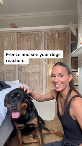 SHE COPIED ME 🤣 #funnydog #funnydogvideos