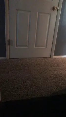 #fyp #fypシ #fypyou #scare #scared #scarecam #scareprank #jumpscare #scarekim #scaringkim #scaringpeople #scream 