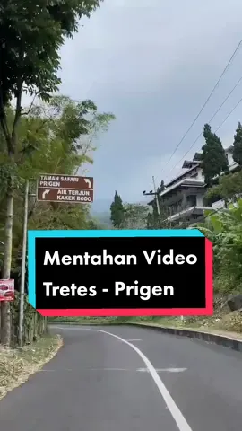 Bahan story sw sg #tretes #tretes_raya #tretesprigen #4tones4dance #TangkapMini #prigen #prigenpasuruan #prigenjawatimur #prigen_tretes #prigentretespasuruan #mentahan #mentahanvideo #nanoagatha #pasuruan 