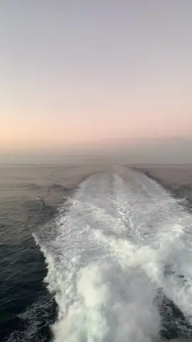 My healing journey. #catalinaisland #journey #heaing #avalonbay #lovecatalina #sunset #dusk #bedtime #peace #water #reflection #meditation #relax #donatelife #hearttransplant #Love #boat 