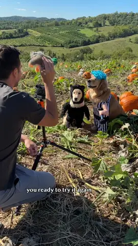 @PetSmart grooming salon saves the day! #AnythingforPets 