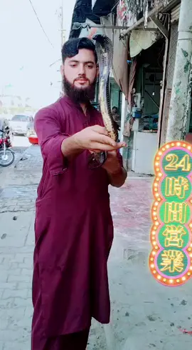 #🥰 my cobra#@Abdullah_4455 @m amir1234 @Abdur rehman @Zinda dil💔135 