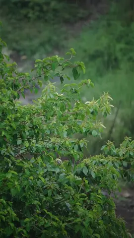 #اللهم_صلي_على_نبينا_محمد #الصلاة_على_النبى #يوم_الجمعه #سورة_الكهف #explore #اكسبلور #اكسبلورexplore #ترند #ترند_تيك_توك #الصلاة_على_النبي #أبو_سالم_الصميدي #صلاة_الجمعة #دعاء #صلاة #مكة_المكرمة #اللهم_صل_وسلم_على_نبينا_محمد 