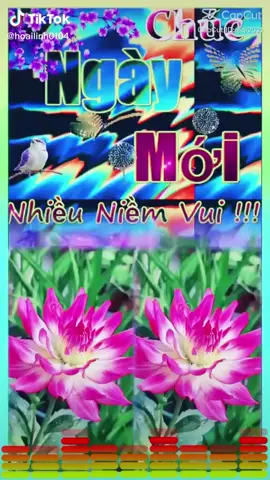 chúc cả nhà ngày mới thật nhiều niềm vui và họ💞