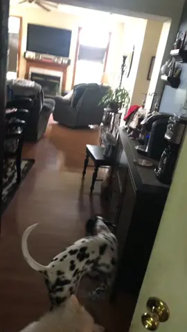 #fupシ #scare #scaring #scared #jumpscare #scarecam #scareprank #scarekim #scaringkim #scream #fyp #viral #viralvideo #fypyou #fypage #scaringpeople 