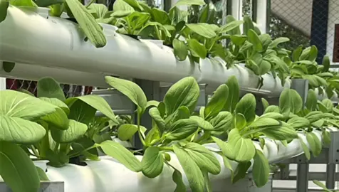 Adee siapa niii cuu bngtt🤌🏻