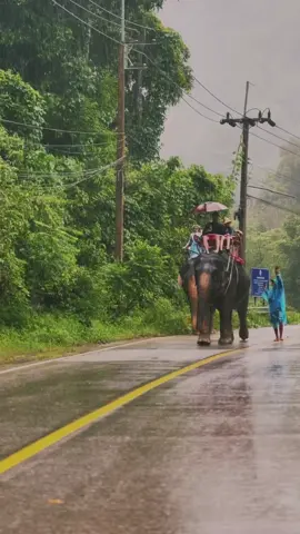 اعجبني المنظر ووقفت الصور مع المطر#بوكيت_تايلاند #بوكيت #سفر #تايلند 