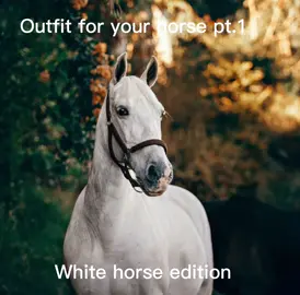What colour next? #fy #horse #outfit #firstvideo 