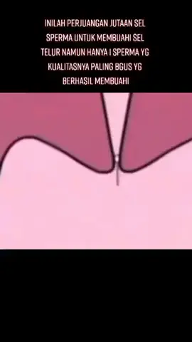 Berjuta sel sperma yang masuk hanya 1 sperma yang berkualitas yang bisa membuahi😇 #siapberjuangbersama #promilholistisnatural #promilPHN #mamadokter #menujugarisdua #tandalagihamil 