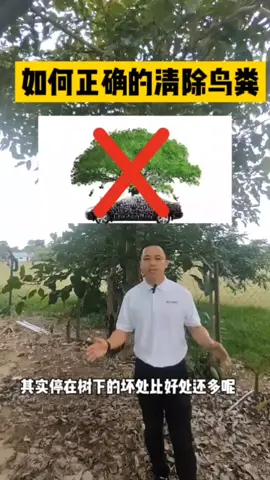 鸟粪和树汁都是车漆的公敌😂两者都是属于酸性的东西，一旦没马上处理掉很快车漆就要Bye Bye 了😅只要懂得正确处理方法，清除鸟粪又可以保持车的清洁，又可以保护车漆哦😊关注我们得到更多关于汽车美容知识#tiktokmalaysia #tiktok #抛光打蜡 #洗车店 #镀晶 #汽车美容 #麻坡