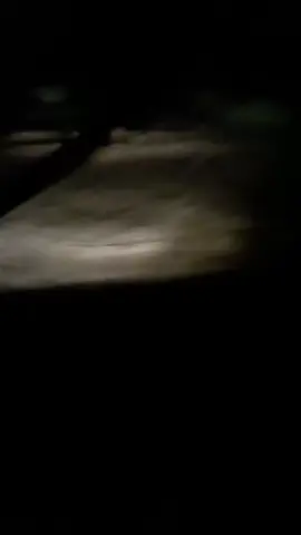 chuyến hàng ngày mưa