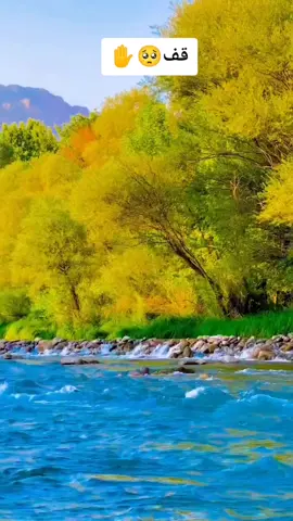 #CapCut #القران_الكريم #سورةالکوثر #alressala #اکسبلور #متابع #تیک_توک #جزاک_اللہ_خیرا_کثیرا 