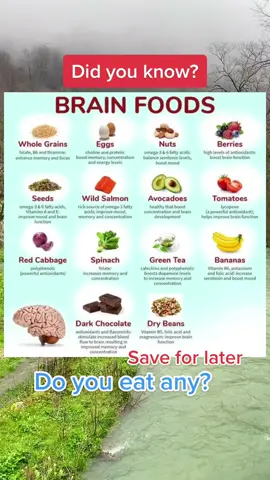 Brain foods 🧠 #fyp #healthfacts #bodyfacts #medicalfacts #foodfacts #brainfood #healthyfoods #healthyfood #healthier #smart #avocado #CapCut  