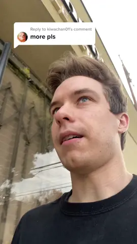 Replying to @kiwachan01 Appropriate response  #fypシ #fypシ゚viral #ventriloquist #delayed #xyzbca #viral #trend 