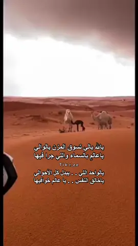 كم باقي على الوسـم 🤍؟.                                      #اكسبلور #الامطار #الابل #نجد #الوسم #explor #fyp #viral #tiktok 