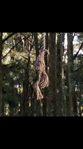 Bendita soga 🥺💔 | #movie #sad #bridgetoterabithia #leslieburke #edit #filme #viral #follow #tiktok #trending 