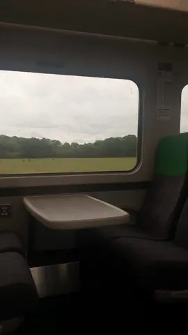 Love a quiet train carriage and scenic rural landscapes 🚂 #train #journey #travel #traveltiktok #traveltok #traveldiaries #TravelMemories #fyp #rural #landscape #nature #dayinthelife #uk #uk #aesthetics #aestheticvideos #simplelife #Lifestyle #views 
