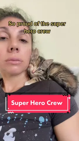 First morning snuggles with the Super Hero Crew! Here is Valkyrie #kittentok #kittentok2022  Babushca is so jealous 😂🙈