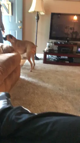 #fupシ #scare #scaring #scared #jumpscare #scarecam #scareprank #scaringkim #scream #fyp #viral #viralvideo #fypyou #fypage #scaringpeople #scarekim 