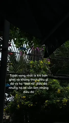 Bạn có thật sự được tôn trọng trong mqh này? #fyp 