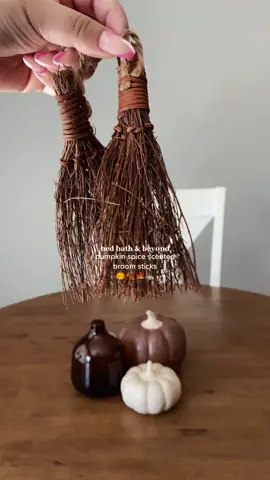 new addition to my fall/halloween decor #fallseason #halloweenseason #bedbathandbeyond #falldecor #halloweendecor 