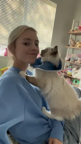 Ezra said a cone isn't stopping him from getting his cuddles