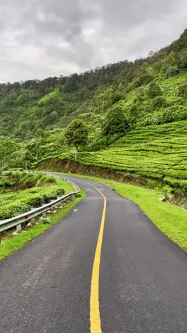 Mentahannya Silahkan di Download #gunungsumbul #warungkabut #kelok1000 #ciwidey #rancabali 
