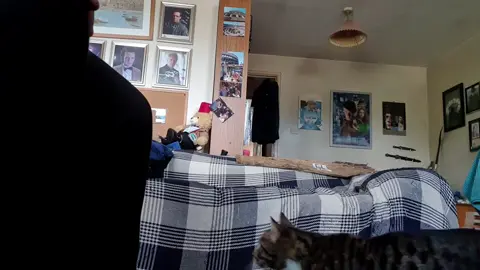 #kitty #kitten #cat #kittensoftiktok #catsoftiktok #jump 